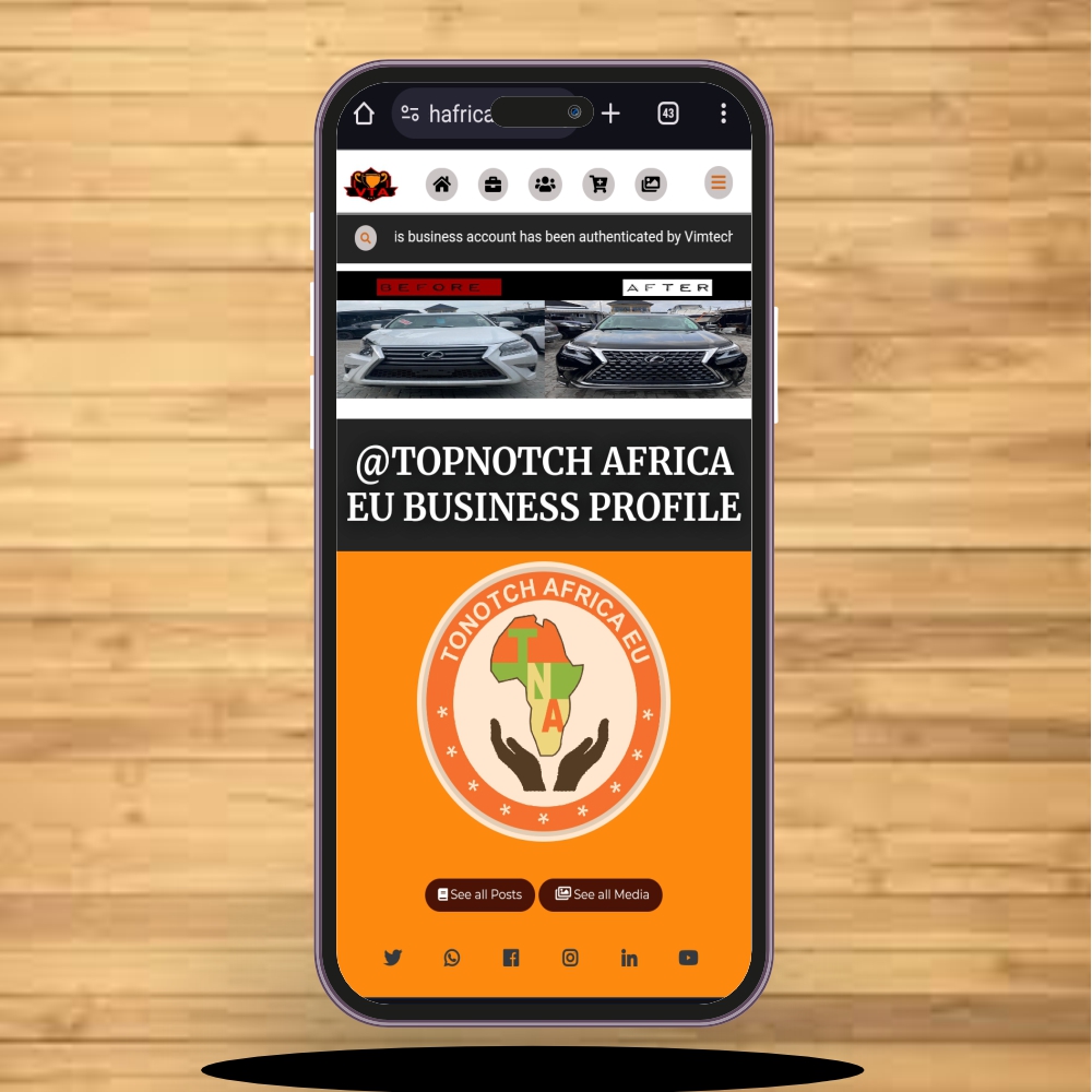 Vimtech Africa Technology